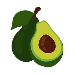 Avocado  - Common Orchard Autumn Fruits names