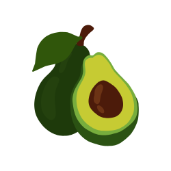 Avocado (Persea americana)
