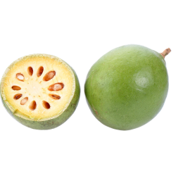 Bael Fruit Bitter Fruit