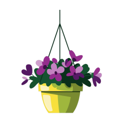 Hanging Planters
