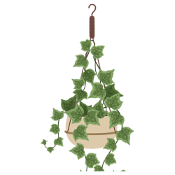 Plant Hanger
