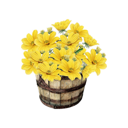 Balconies Planters: for Beautiful Environment