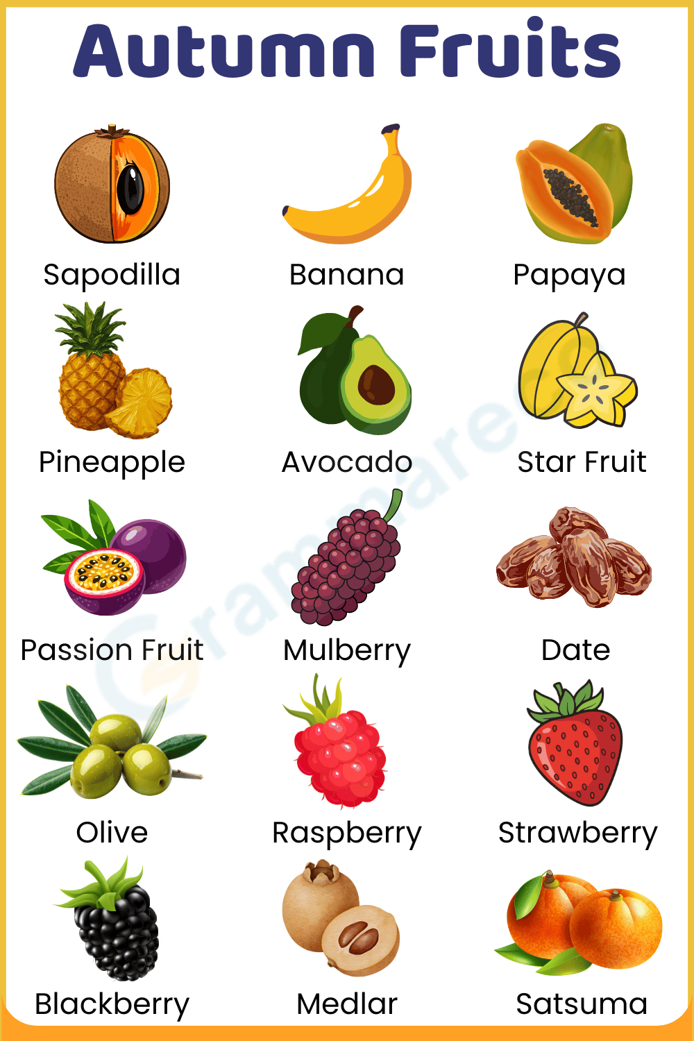 Berries and Small Autumn Fruits with Photos and Uses