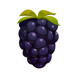 Blackberry Fruit - List of Berries Names