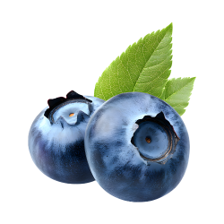 Blueberry (Vaccinium spp.)