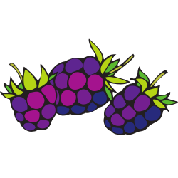 Boysenberry