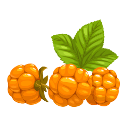 Cloudberry - Types of Berries with Pictures