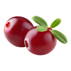 Crowberry - Types of Berries Fruits with Pictures