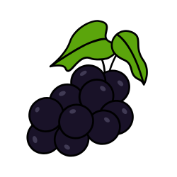 Elderberry