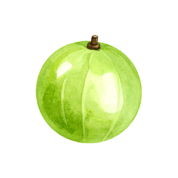 Indian Gooseberry