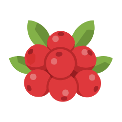Lingonberry - Types of Berries with Pictures