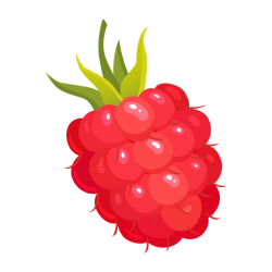 Raspberry - Berries Types with their Pictures