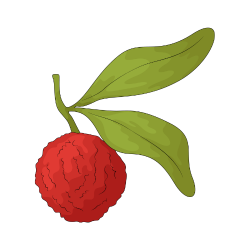 Tayberry - Types of Berries with Pictures