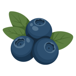 Vaccinium berry
