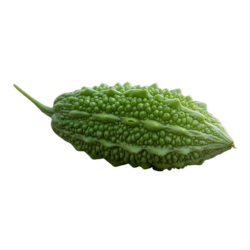 Bitter Taste Cucumber Fruit