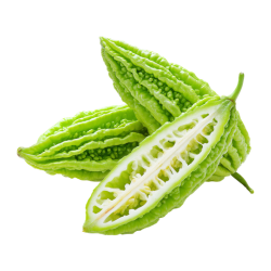 Bitter Melon - Types of Melons List