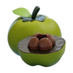 Black Sapote Unique fruits that are in season in autumn