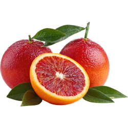 Blood Orange: Oranges and Mandarins Citrus Fruit Names