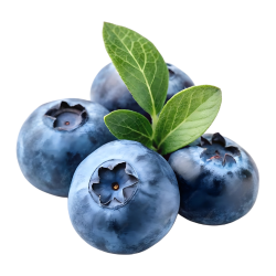 Blueberry Sweet Fruit