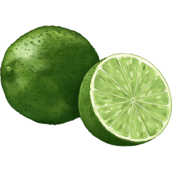 Calamansi - Kinds of Citrus Fruit with Names