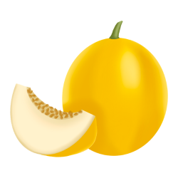 Canary Melon Type
