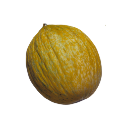 Casaba Melon