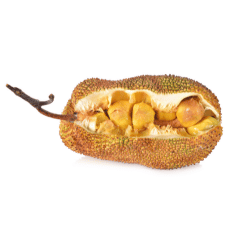 Spiky Asian Fruits Names - Cempedak