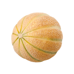 Charentais Melon