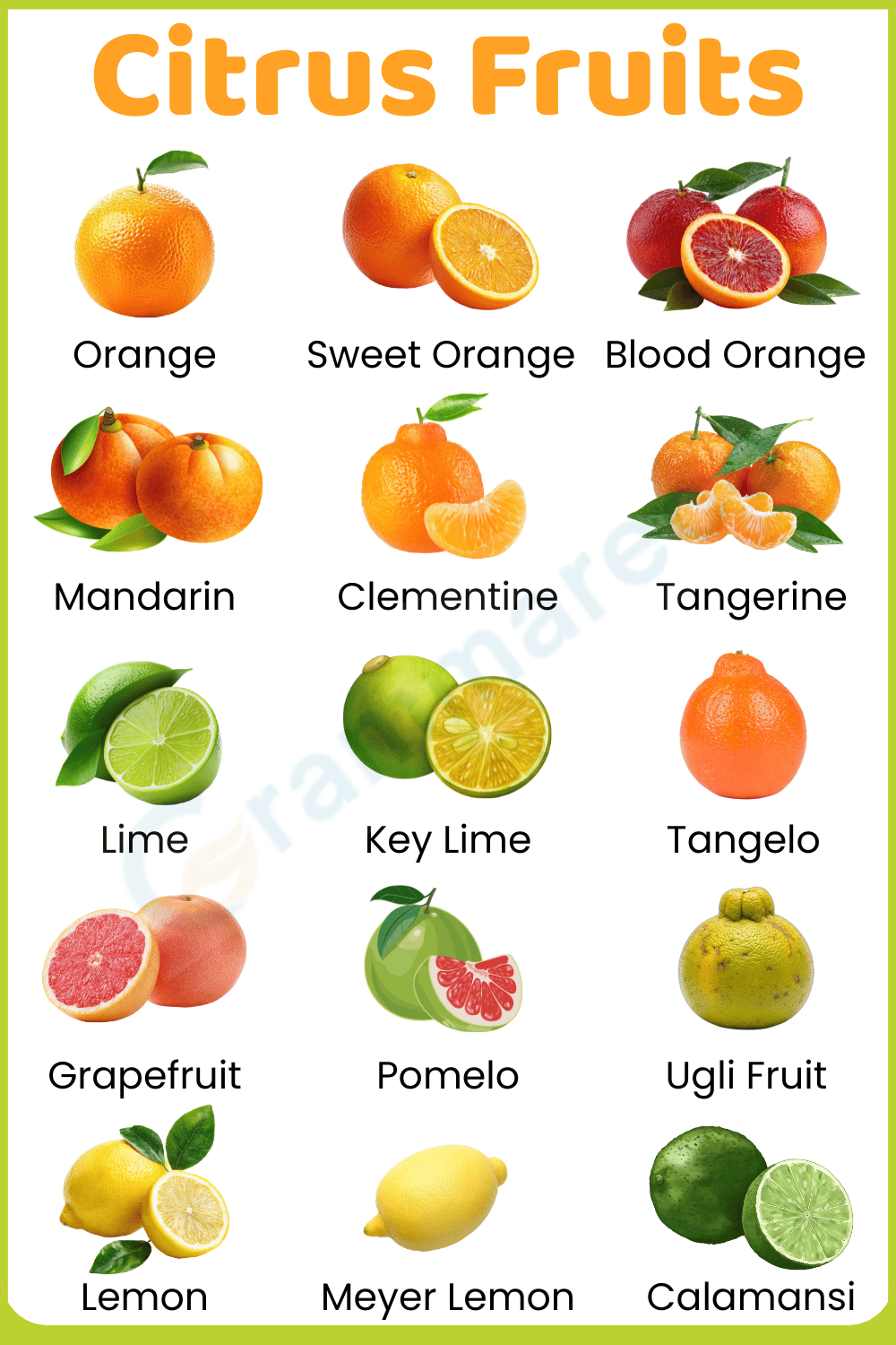Types of Citrus Fruit Names with their Pictures