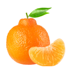 Clementine: Oranges and Mandarins Citrus Fruit Names