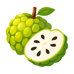 Custard Apple - Unique Autumn Fruits Names