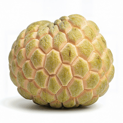 Custard Apple (Sugar Apple)
