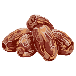 Dates - Unique Autumn Fruits Names