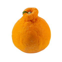 Dekopon - Japanese Citrus Fruits and Images