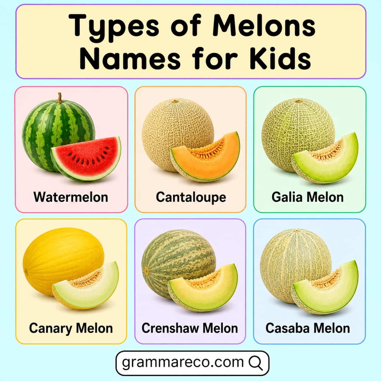 Different Kinds of Melons with Names for Kids