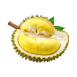 Durian: Common Spiky Fruits Names