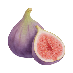 Figs - Sweet and Bitter Fruits Names