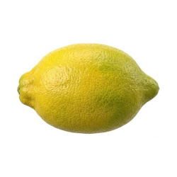 Galgal Lemon