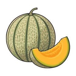 Galia Melon with Information and Taste