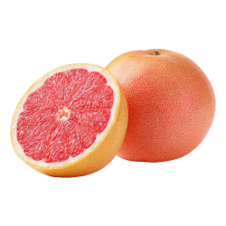 Grapefruit Bitter Taste