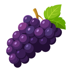 Autumn Grapes - Seasonal Picks