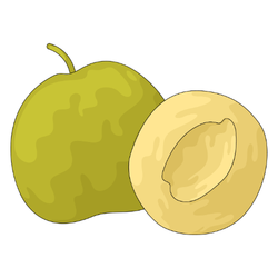 Greengage - Autumn Fruit