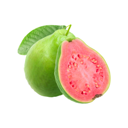 Guava (Psidium guajava)
