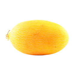 Hami Melon Fruit