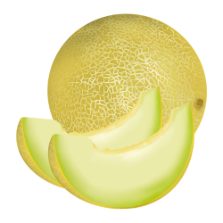 Honeydew - Sweet and Bitter Fruits Names