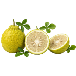 Ichang Papeda - Citrus Fruit Names