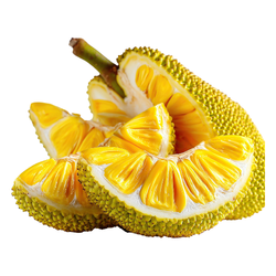 Jackfruit Autumn Fruit