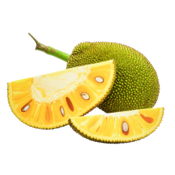 Jackfruit - Sweet and Bitter Fruits Names