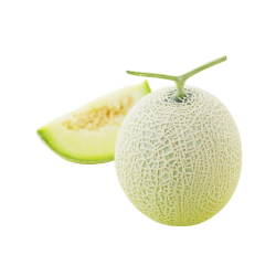 Japanese Crown Melon