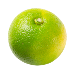 Kabosu - Japanese Citrus Fruits and Images